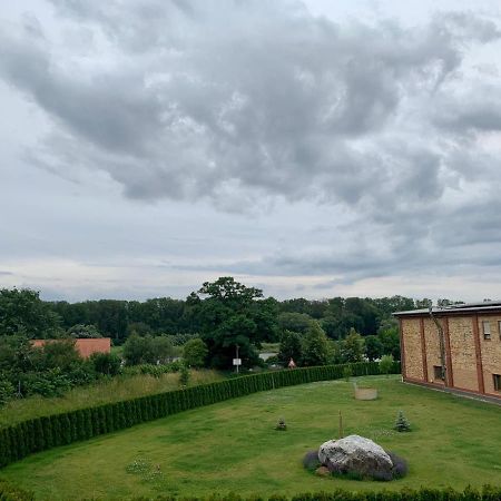 Ferienwohnung Zur Dexter-Zucht Coswig Coswig  Exterior foto