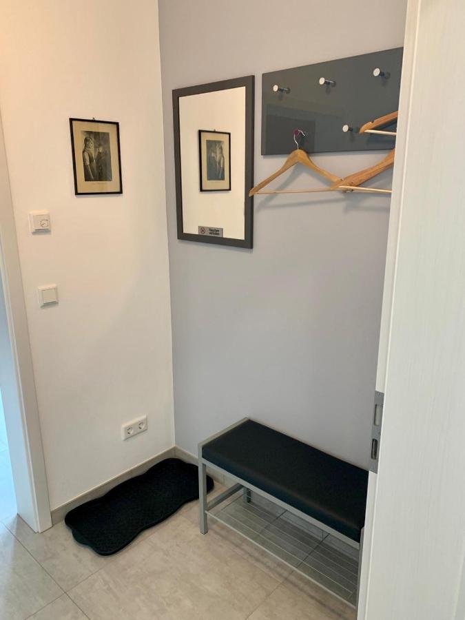 Ferienwohnung Zur Dexter-Zucht Coswig Coswig  Exterior foto