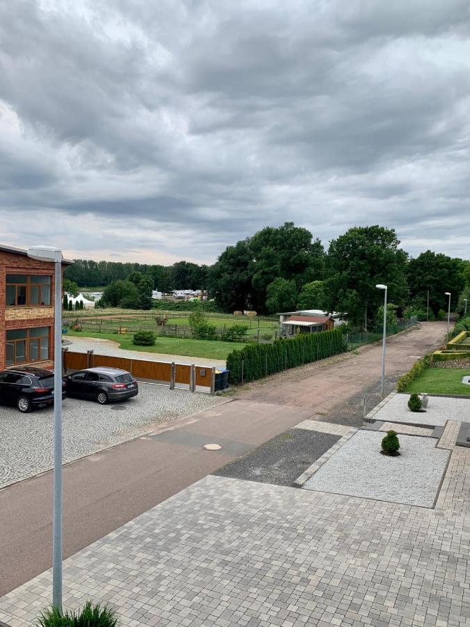 Ferienwohnung Zur Dexter-Zucht Coswig Coswig  Exterior foto