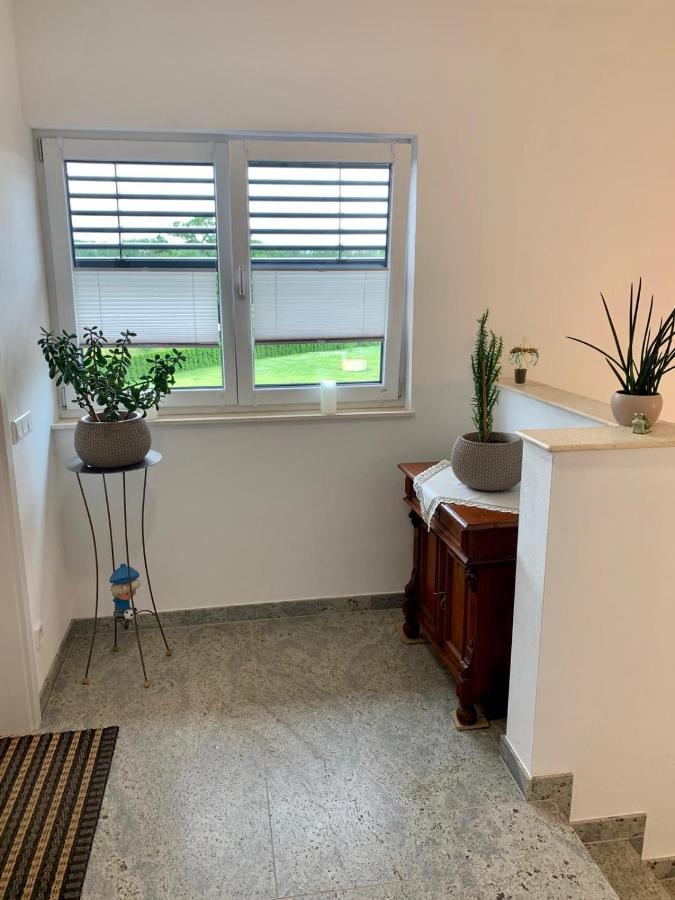 Ferienwohnung Zur Dexter-Zucht Coswig Coswig  Exterior foto