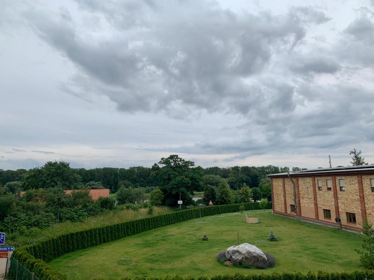 Ferienwohnung Zur Dexter-Zucht Coswig Coswig  Exterior foto